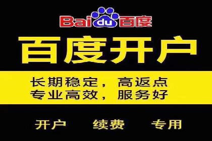 百度推广平台在电商行业的应用成功案例
