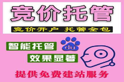 信息流竞价竞争策略：成功案例解析